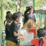 WhatsApp Image 2026-08-05 at 23.51.11